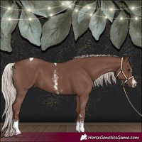 Horse Color:Silver Black Sabino Tobiano 