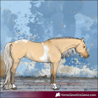 Horse Color:Silver Buckskin Dun Tobiano 
