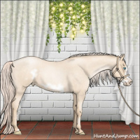 Horse Color:Gold Cream Champagne Roan Pearl Frame 
