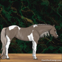 Horse Color:Silver Grullo Tobiano Rabicano 