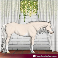 Horse Color:Cremello 