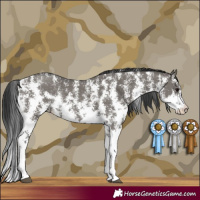 Horse Color:Grullo Sabino Rabicano