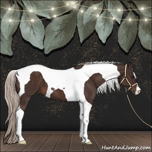 Horse Color:Silver Brown Tobiano 