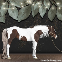 Horse Color:Silver Brown Tobiano 