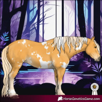 Horse Color:White Spotted Palomino 