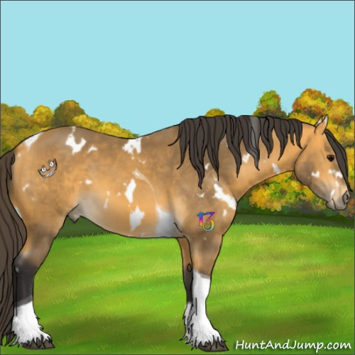 Horse Color:White Spotted Buckskin Tobiano 