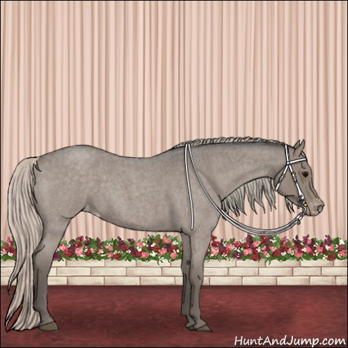 Horse Color:Silver Blue Roan Appaloosa