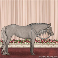 Horse Color:Silver Blue Roan Appaloosa