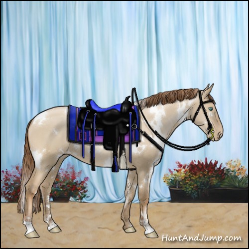 Horse Color:White Spotted Smoky Grullo Pearl Sabino Rabicano 