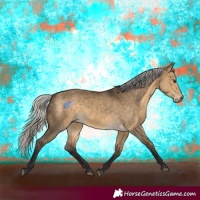 Horse Color:Silver Buckskin Dun 