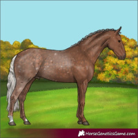 Horse Color:Silver Black 