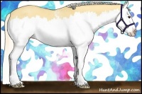 Horse Color:White Spotted Palomino Dun Splash 