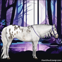 Horse Color:Silver Smoky Grullo Appaloosa