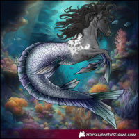 Horse Color:Blue Roan Appaloosa 