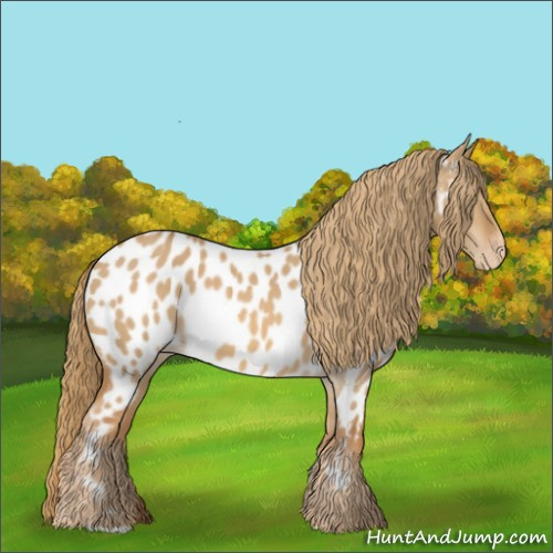 Horse Color:Red Dun Near Leopard