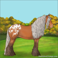 Horse Color:Silver Bay Appaloosa 