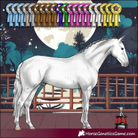 Horse Color:Gray Brown Roan Mushroom Tobiano 