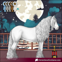 Horse Color:Gray Brown Pearl Dun Tobiano Rabicano Brindle 