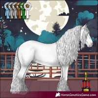 Horse Color:Gray Brown Pearl Dun Tobiano Rabicano Brindle 