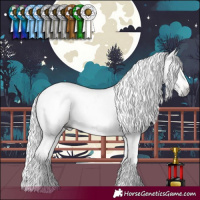Horse Color:Gray Brown Pearl Dun Tobiano Rabicano Brindle 