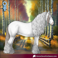 Horse Color:Black Pearl Sabino