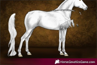 Horse Color:Gray White Spotted Silver Black Rabicano 