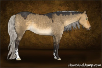 Horse Color:Silver Buckskin Dun Sabino 