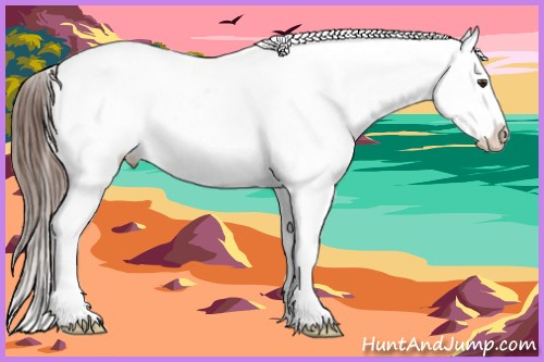 Horse Color:Liver Chestnut Blanket Rabicano 