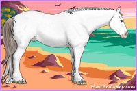 Horse Color:Liver Chestnut Blanket Rabicano