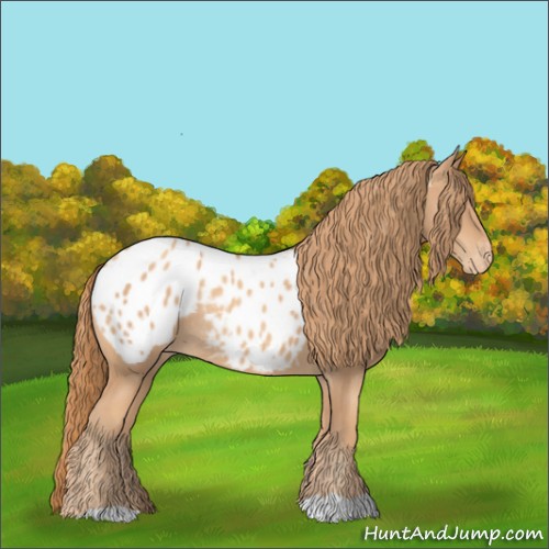 Horse Color:Gold Champagne Appaloosa Rabicano 