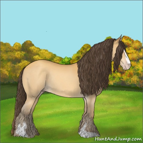 Horse Color:Amber Cream Champagne Sabino Rabicano