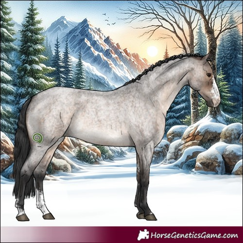 Horse Color:Brown Roan Dun Sabino