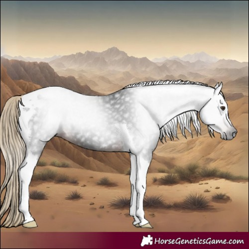 Horse Color:Gray Liver Chestnut Tobiano 