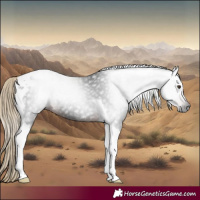 Horse Color:Gray Liver Chestnut Tobiano