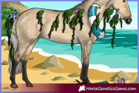 Horse Color:Silver Buckskin Dun 