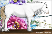 Horse Color:Red Dun Fewspot 