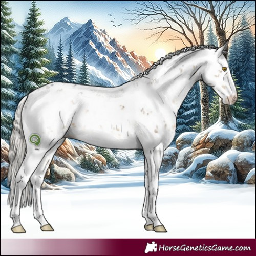 Horse Color:Silver Buckskin Dun Sabino Brindle 