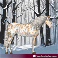 Horse Color:Palomino Near Leopard  and Palomino Near Leopard 