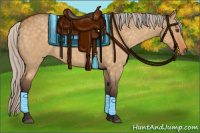 Horse Color:Silver Buckskin Dun 