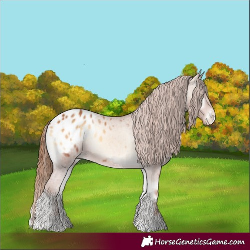 Horse Color:Red Onyx Appaloosa Rabicano 