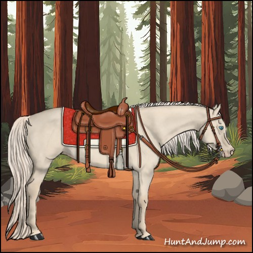 Horse Color:Cremello Dun Rabicano 