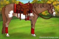 Horse Color:Chestnut Frame 