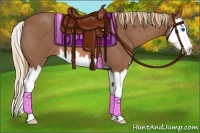 Horse Color:Red Roan Sabino Splash
