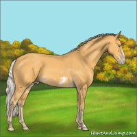 Horse Color:Silver Amber Cream Champagne Frame 