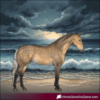 Horse Color:Silver Buckskin Dun