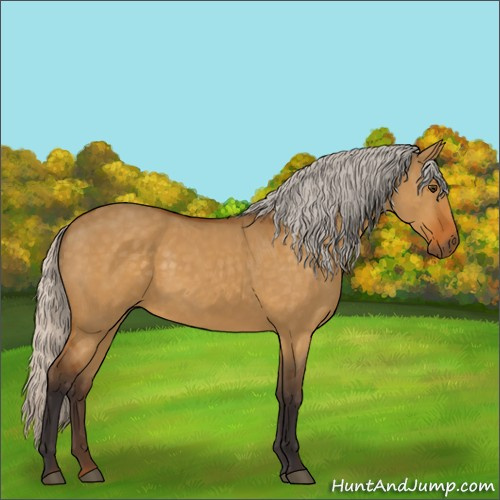 Horse Color:Silver Buckskin Dun 
