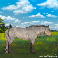 Horse Color:Silver Smoky Grullo Roan 