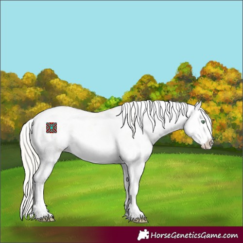 Horse Color:White Spotted Silver Amber Cream Champagne Dun Splash Appaloosa 