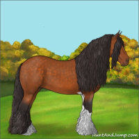 Horse Color:Buckskin Tobiano 
