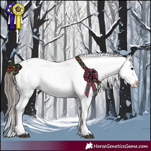Horse Color:Black Tobiano Snowflake Varnish